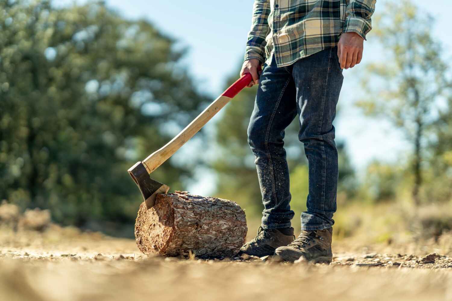 Best Tree Stump Removal  in Ahoskie, NC